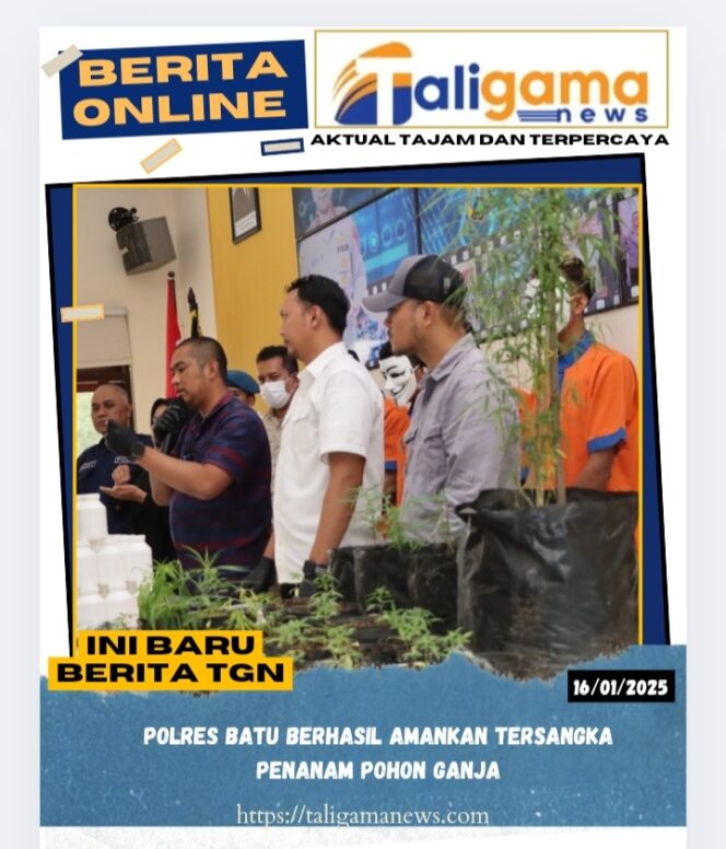 
					Polres Batu Berhasil Amankan Tersangka Penanam Pohon Ganja