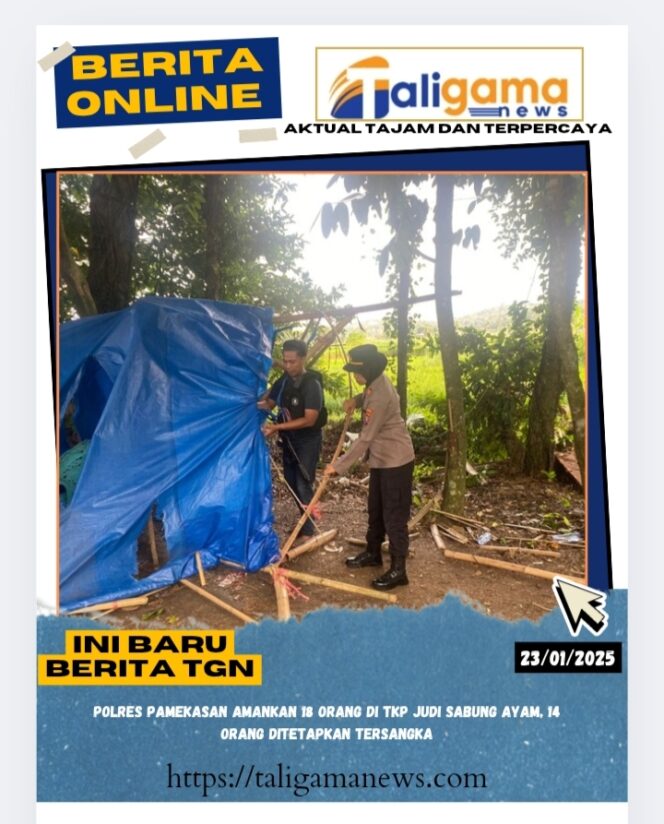 
					Polres Pamekasan Amankan 18 Orang di TKP Judi Sabung Ayam, 14 Orang Ditetapkan Tersangka