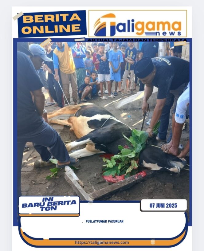 
					Semangat Berkurban di Masjid Baitul Makmur, Desa Branang, Lekok, Pasuruan Syiar Islam Terus Bergema Lewat Ibadah Kurban